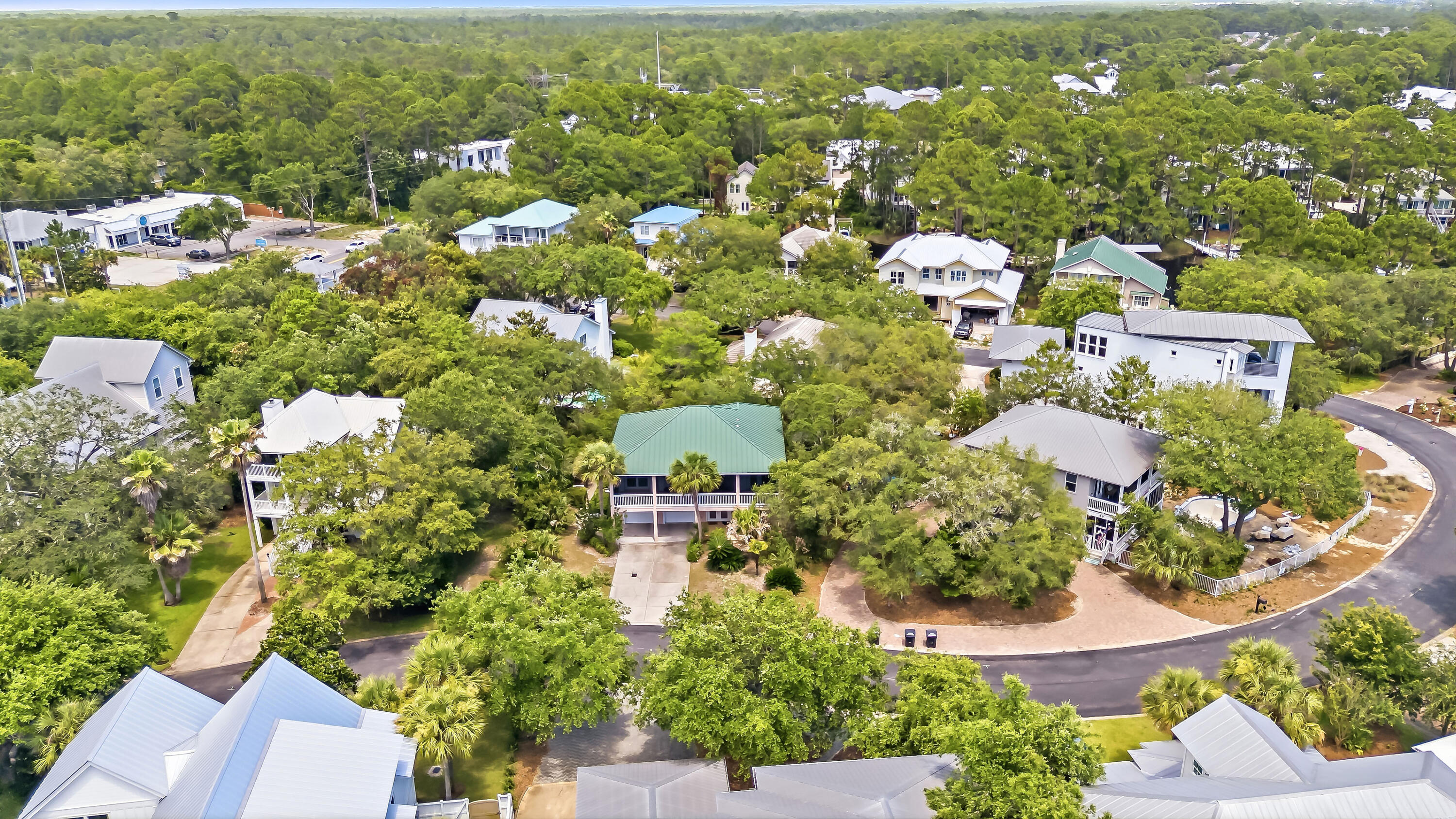 49 Lake Pointe Drive Santa Rosa Beach FL 32459