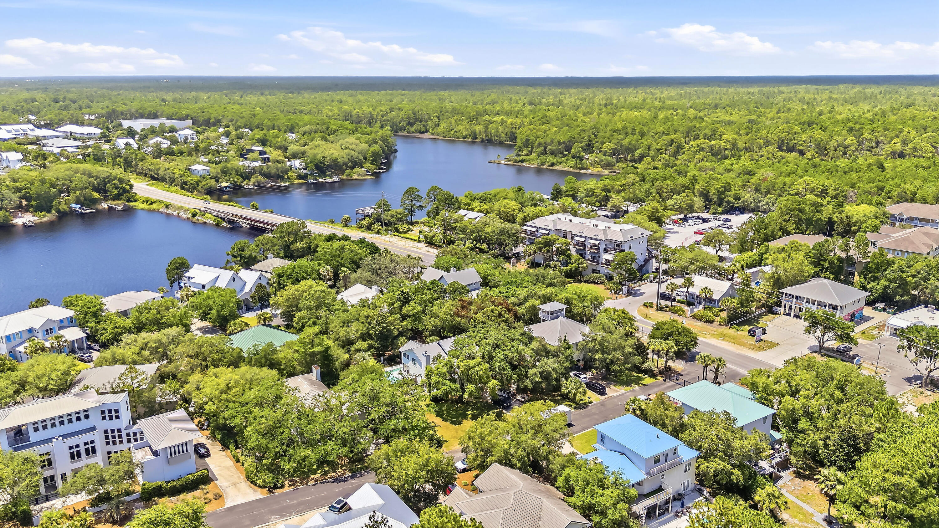 49 Lake Pointe Drive Santa Rosa Beach FL 32459