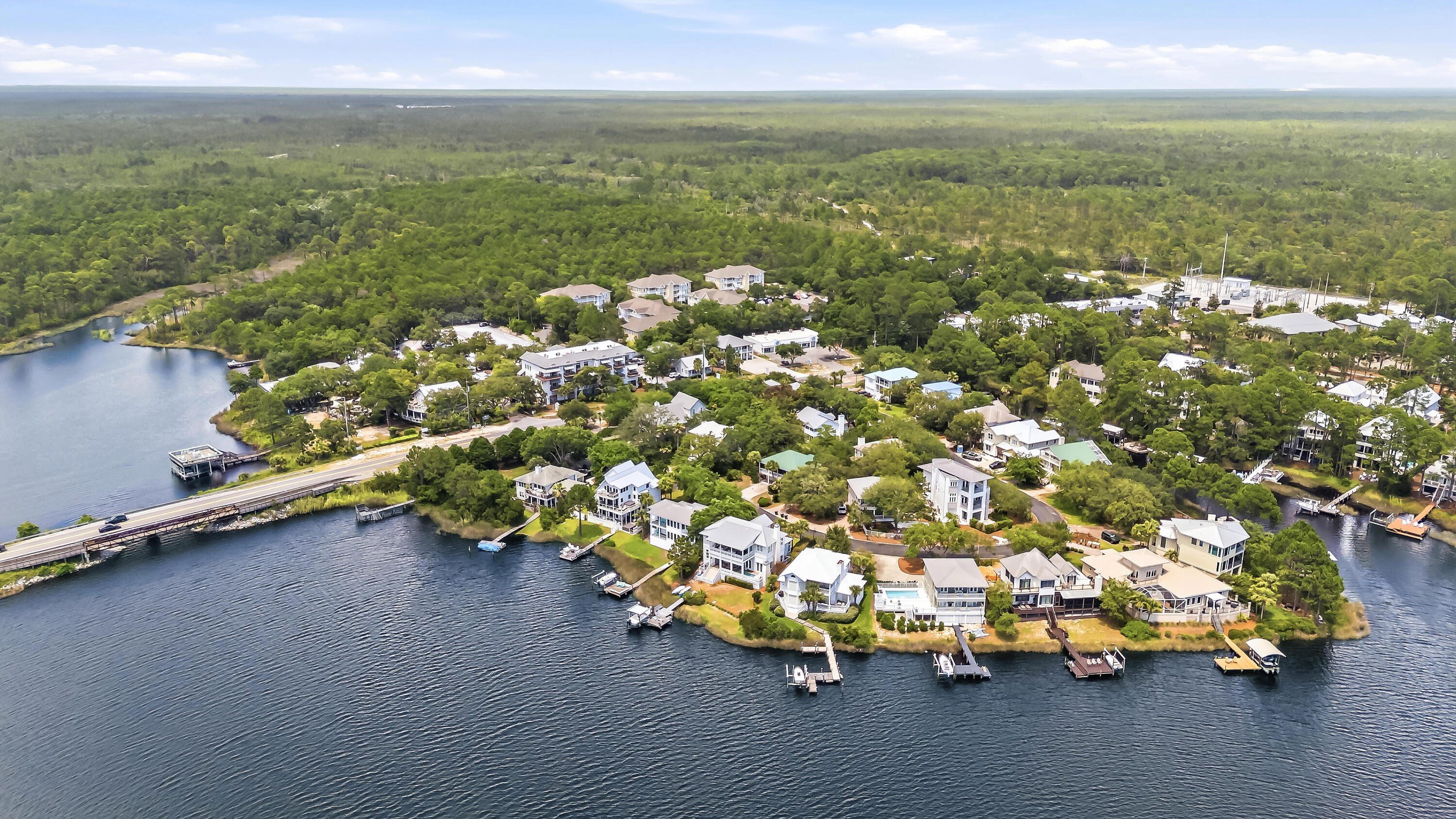 49 Lake Pointe Drive Santa Rosa Beach FL 32459