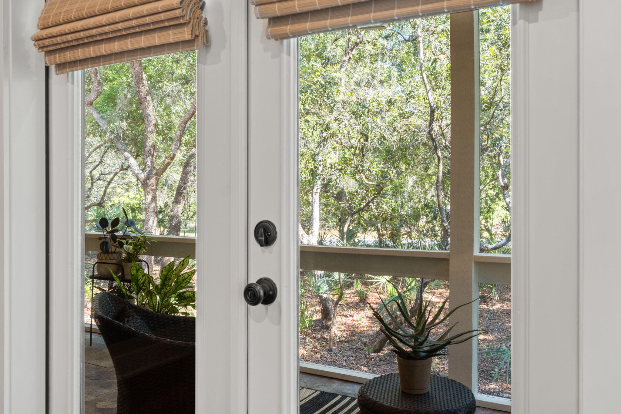 364 Amelia Lane Santa Rosa Beach FL 32459
