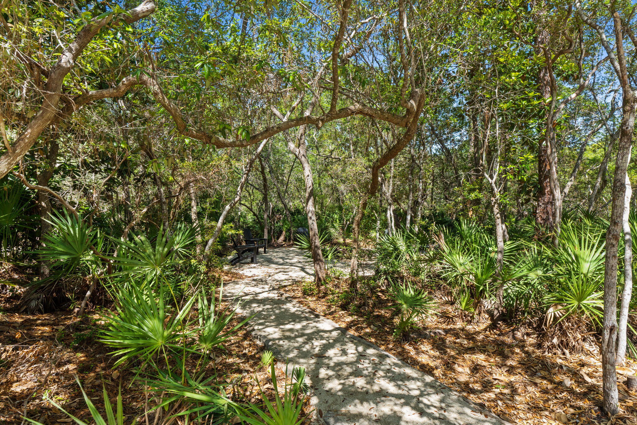 364 Amelia Lane Santa Rosa Beach FL 32459