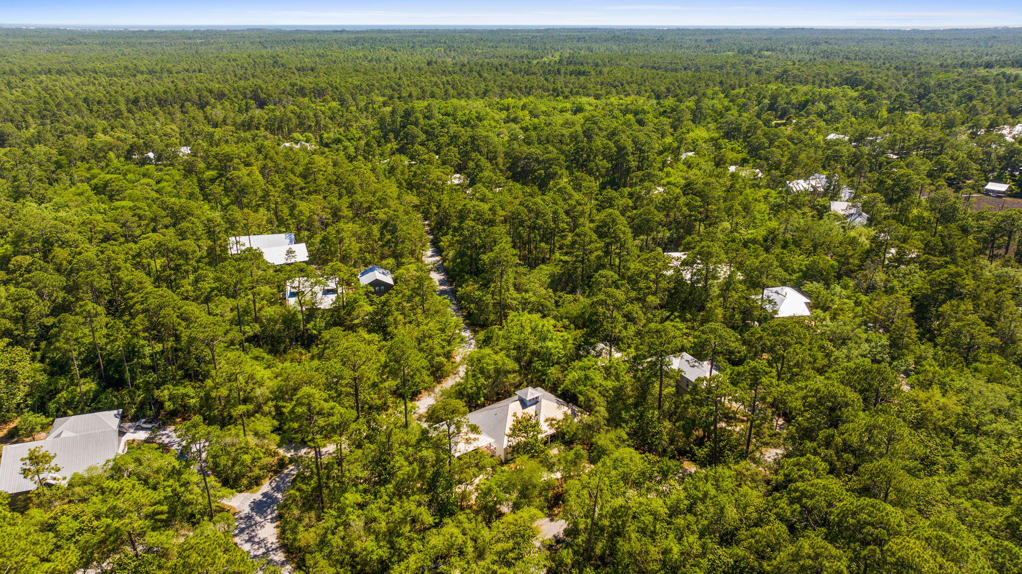 364 Amelia Lane Santa Rosa Beach FL 32459