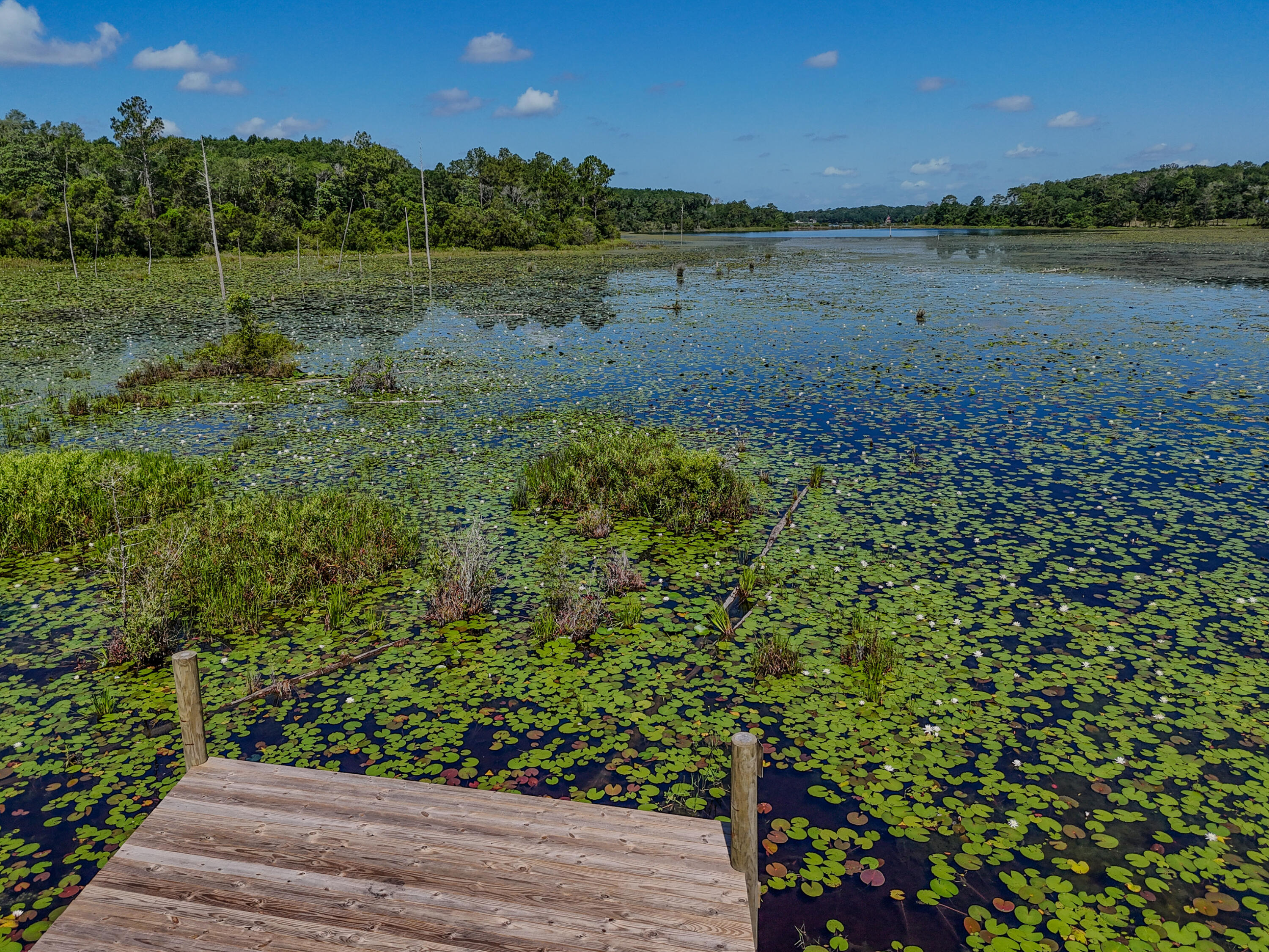 15 Holly Lake Court Defuniak Springs FL 32433
