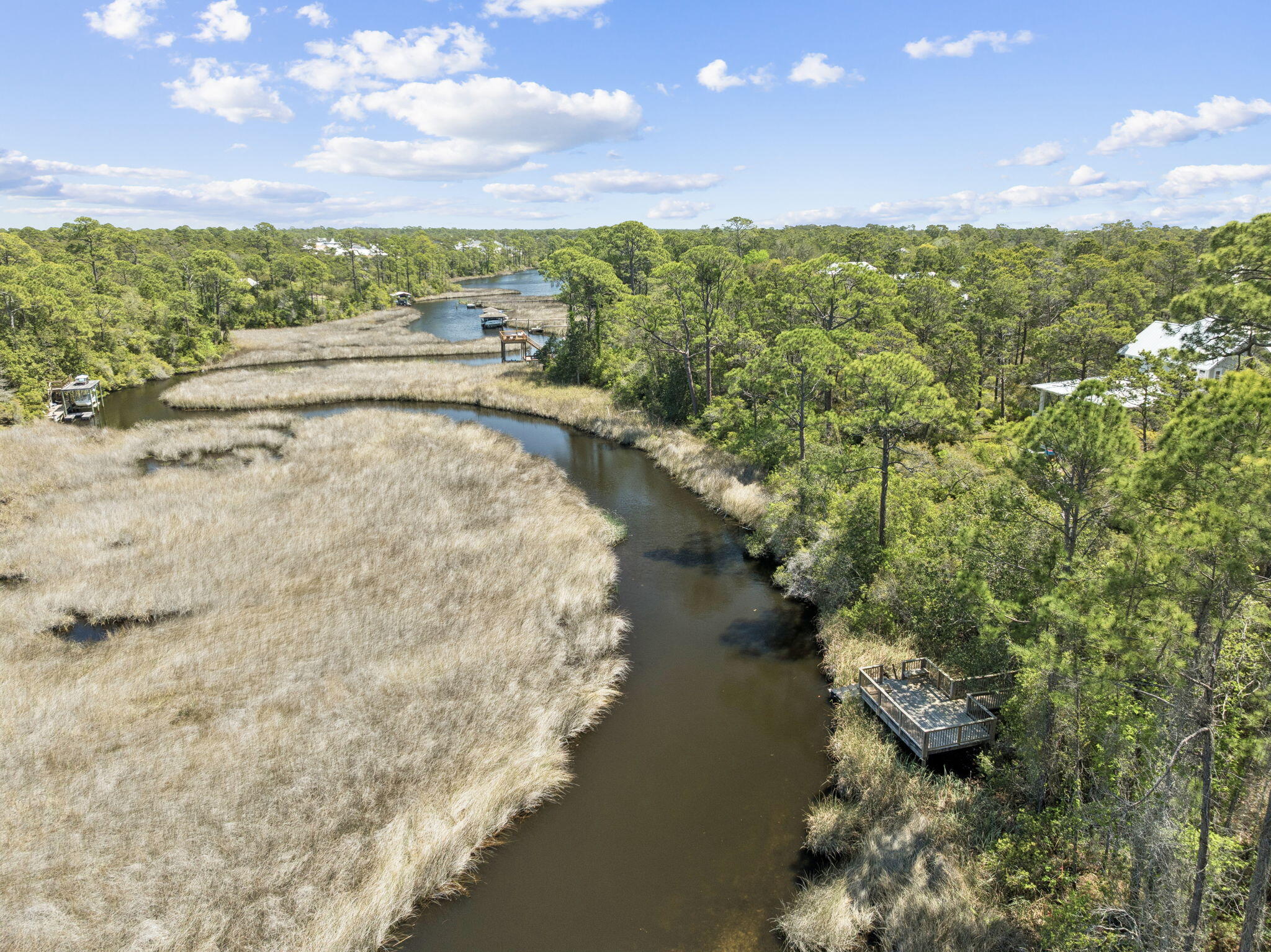 8 E Willow Mist Road Inlet Beach FL 32461