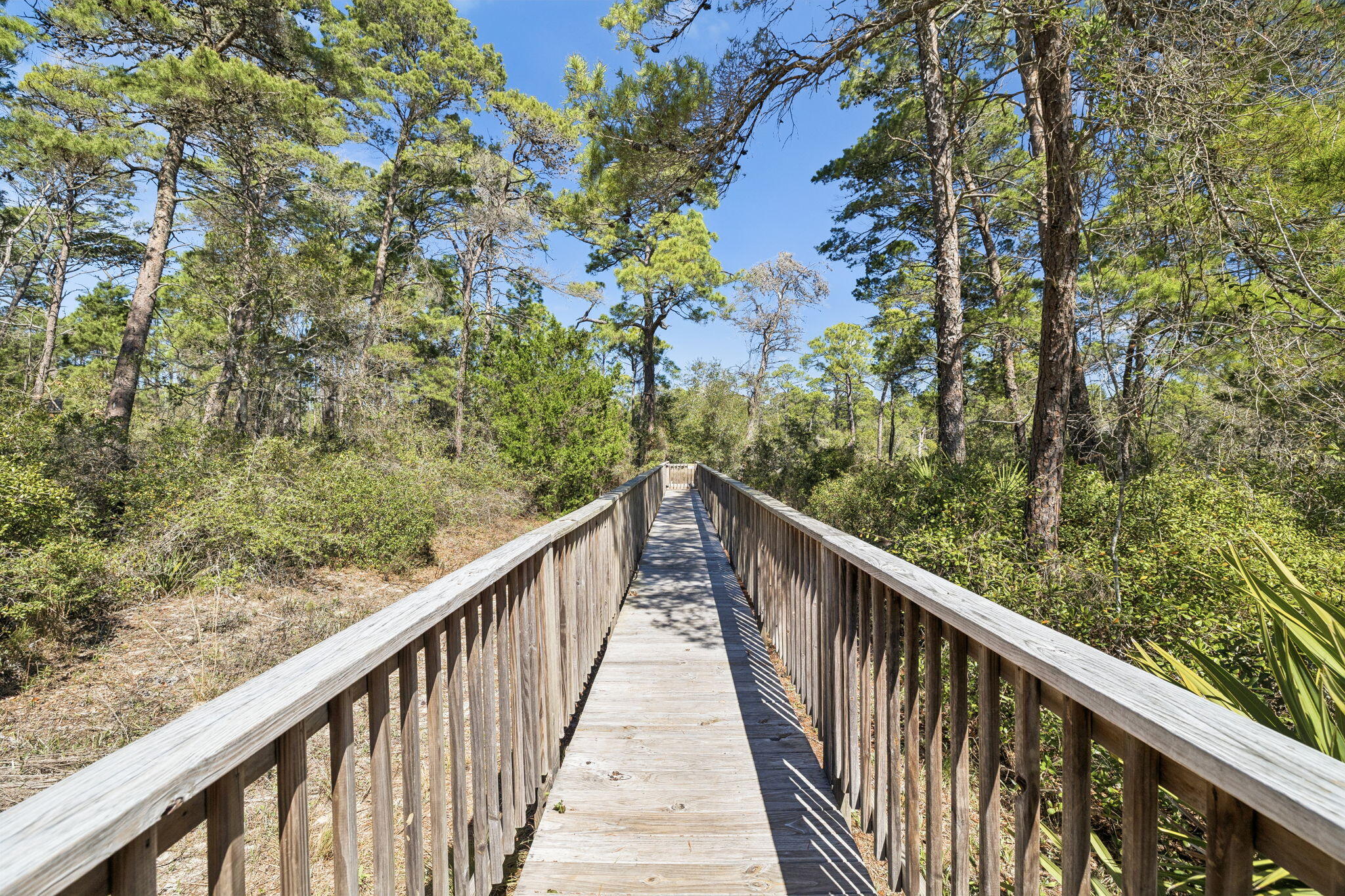 8 E Willow Mist Road Inlet Beach FL 32461