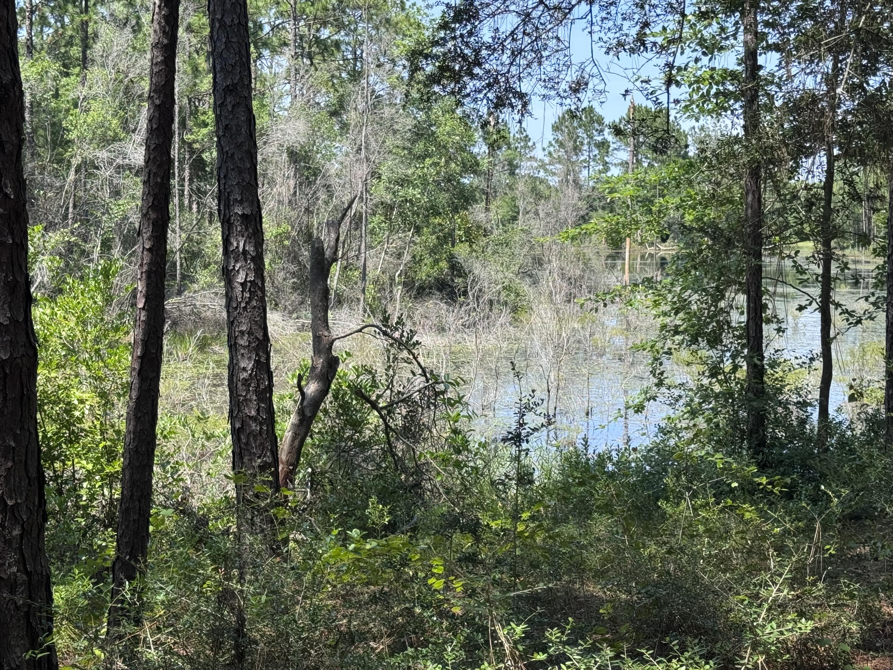 1154 Oakwood Lakes Boulevard Defuniak Springs FL 32433