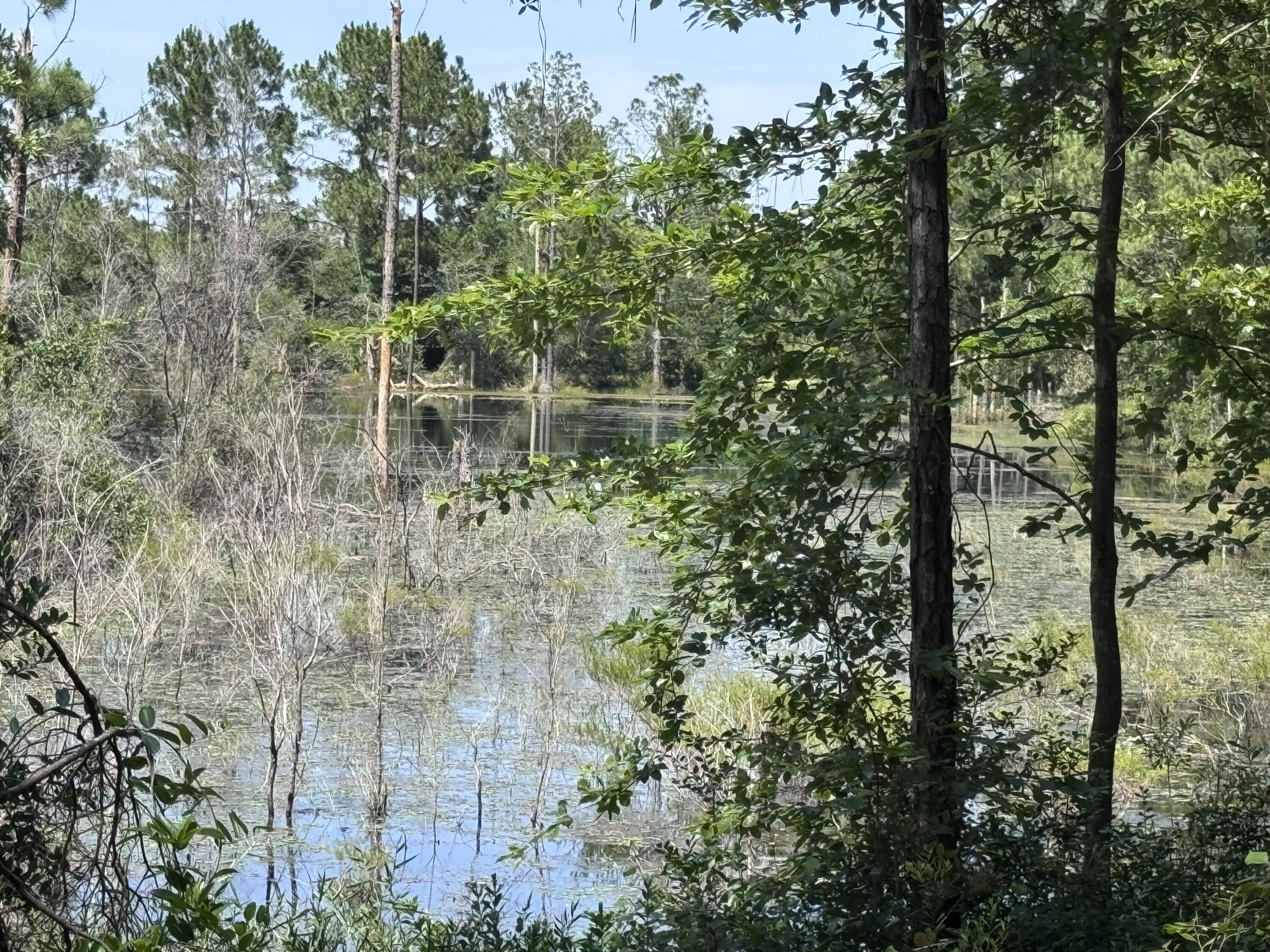 1154 Oakwood Lakes Boulevard Defuniak Springs FL 32433
