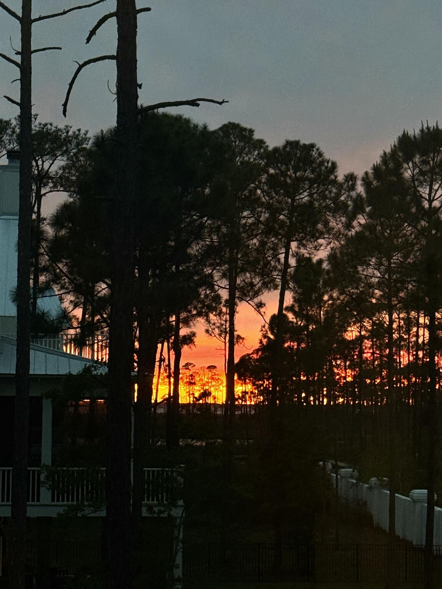 229 Mallard Lane Santa Rosa Beach FL 32459