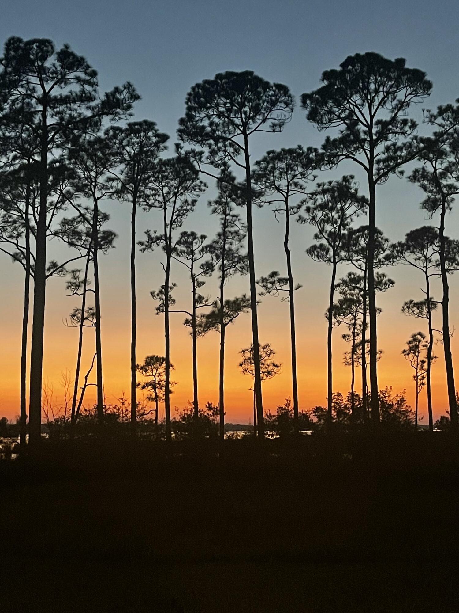 229 Mallard Lane Santa Rosa Beach FL 32459