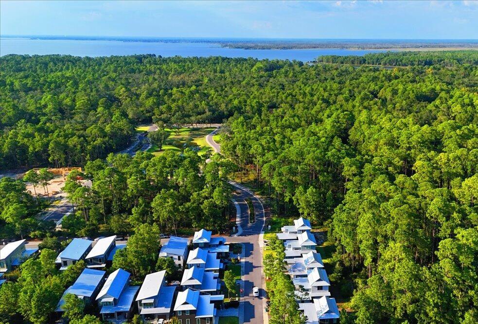 51 Edens Landing Circle Santa Rosa Beach FL 32459