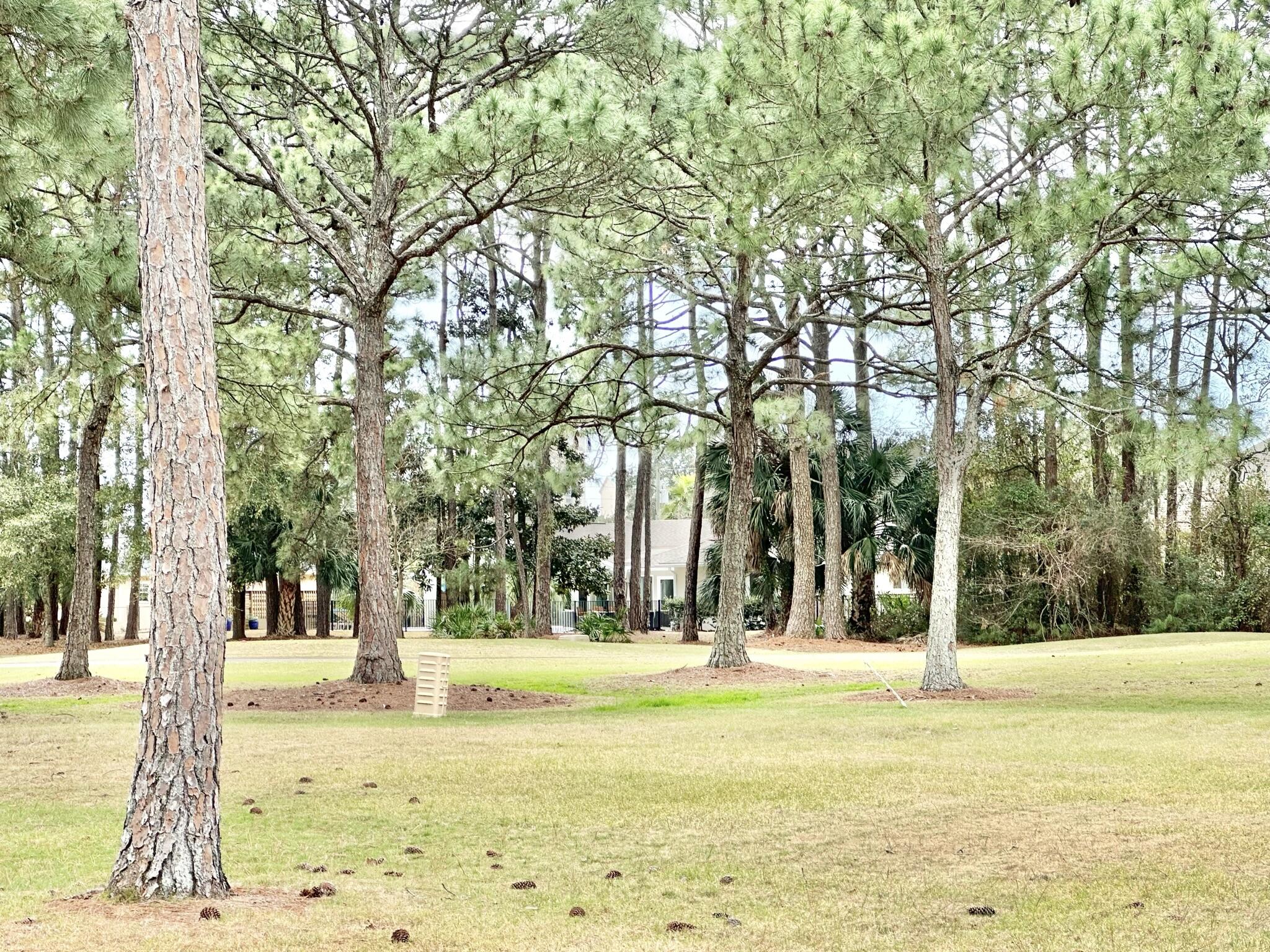 535 Augusta Place Miramar Beach FL 32550