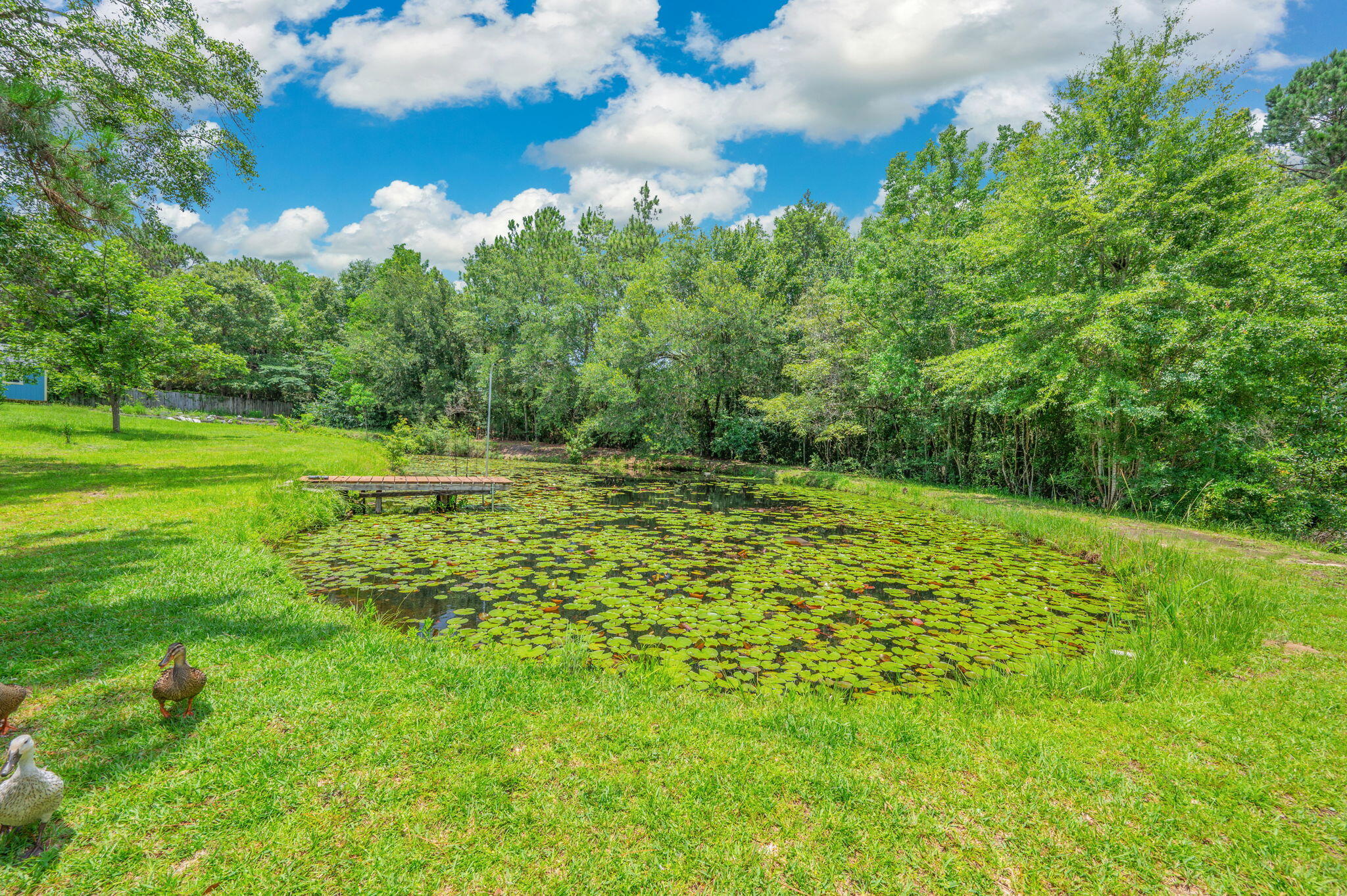 110 Eagle Court Crestview FL 32539