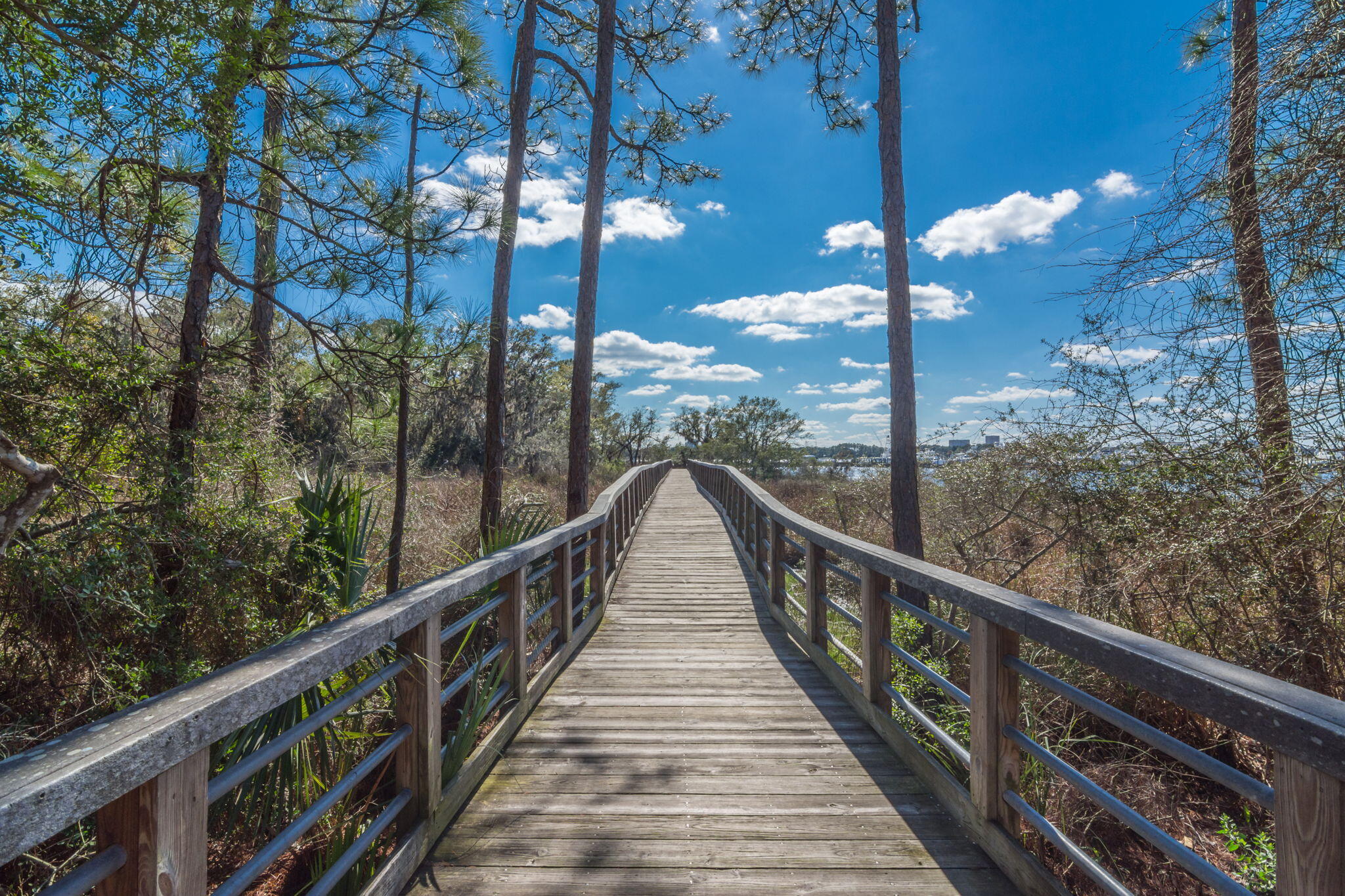 2943 Pine Valley Drive Miramar Beach FL 32550