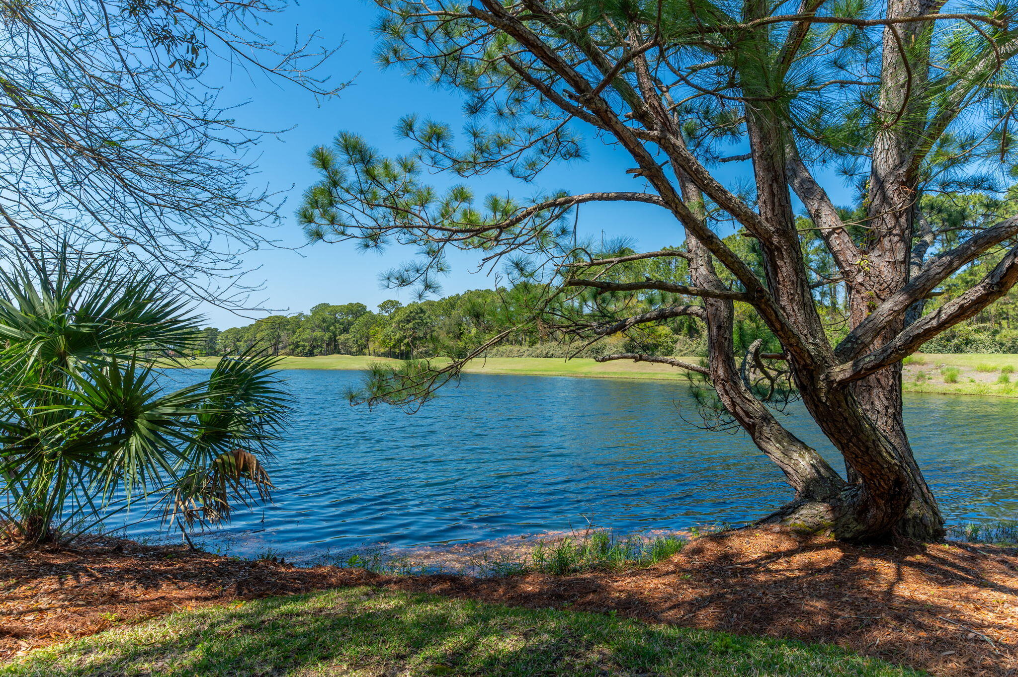 2943 Pine Valley Drive Miramar Beach FL 32550