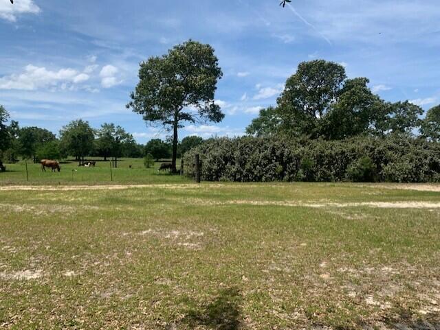3329 Berrywood Trail Laurel Hill FL 32567