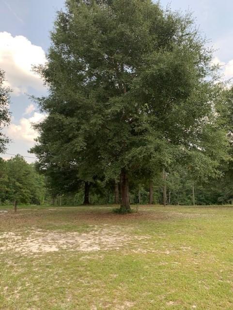 3329 Berrywood Trail Laurel Hill FL 32567