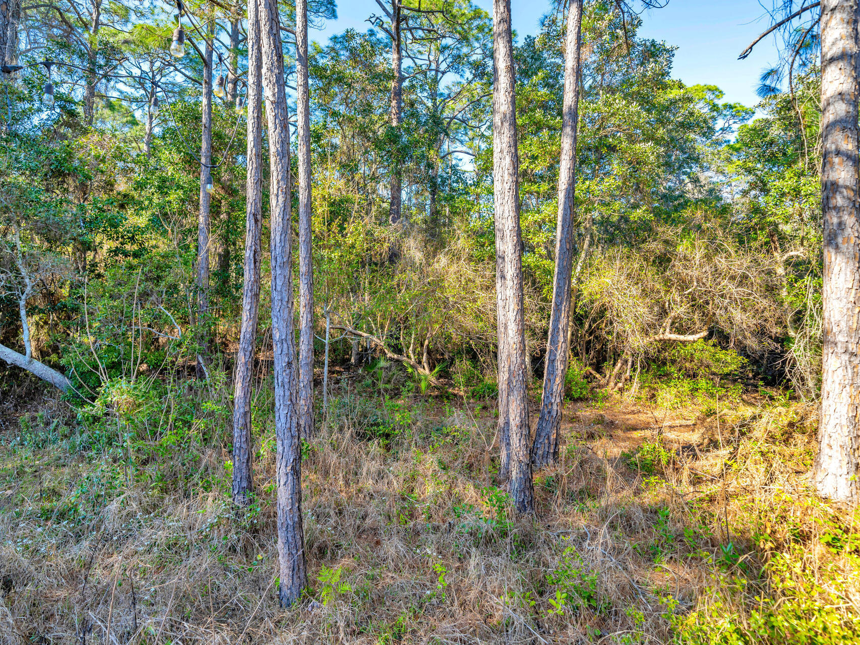 703 Marsh Harbor Drive Mary Esther FL 32569