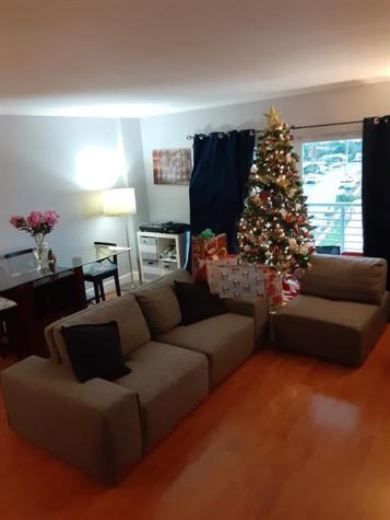 2900 NE 30th Street Fort Lauderdale FL 33306