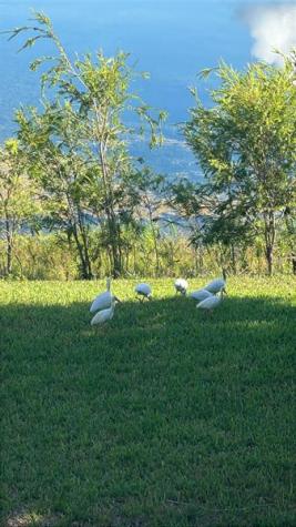 3405 NW 44th Street Lauderdale Lakes FL 33309