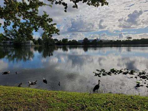 120 Royal Park Drive Oakland Park FL 33309