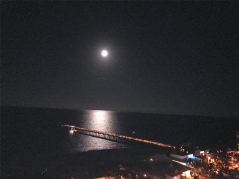 333 NE 21st Avenue Deerfield Beach FL 33441