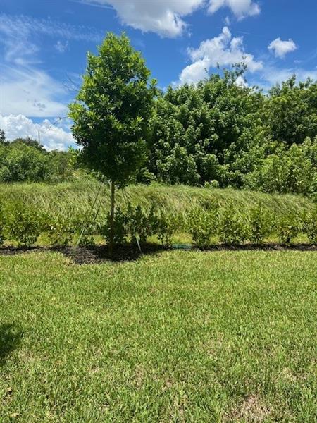4393 Hammock Grove Drive Lake Worth FL 33467