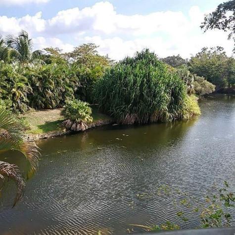 4309 Coral Springs Drive Coral Springs FL 33065