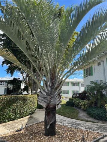 6260 NE 18th Avenue Fort Lauderdale FL 33334