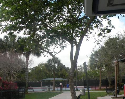 4221 W Palm Aire Drive Pompano Beach FL 33069
