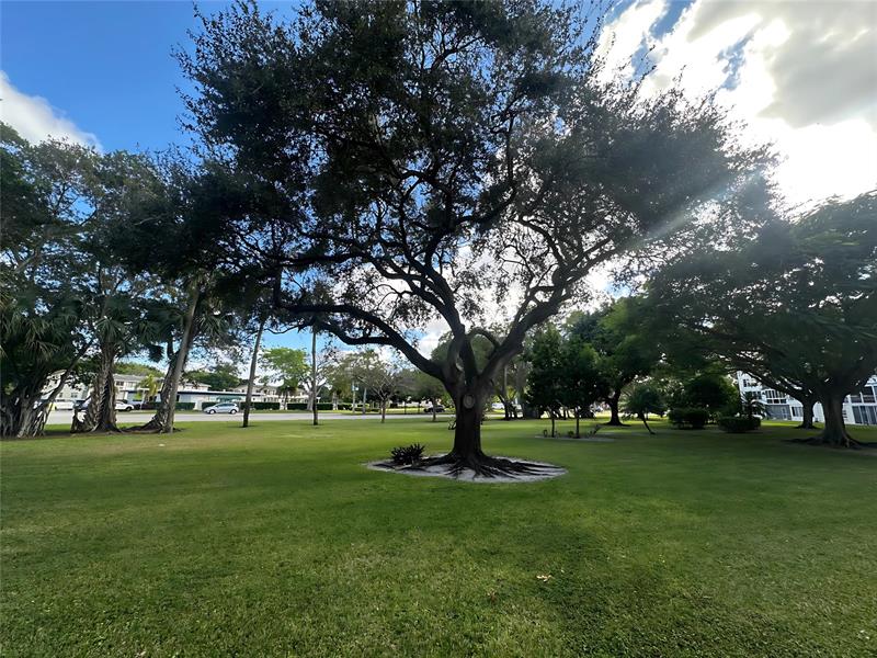 3006 Cambridge A Deerfield Beach FL 33442