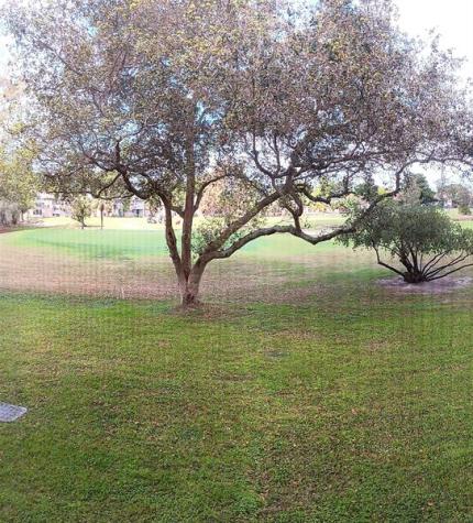 1035 Country Club Drive Margate FL 33063