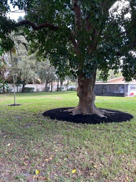 6359 Lasalle Road Delray Beach FL 33484