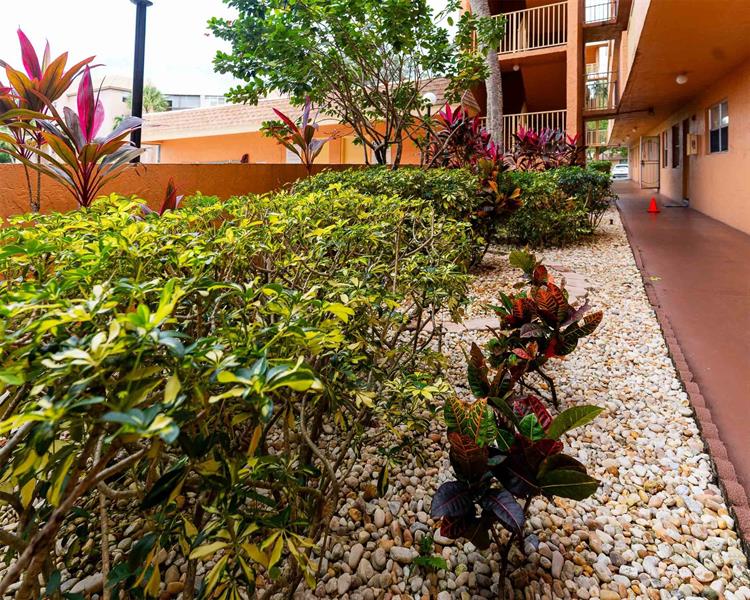 3110 N Pine Island Road Sunrise FL 33351