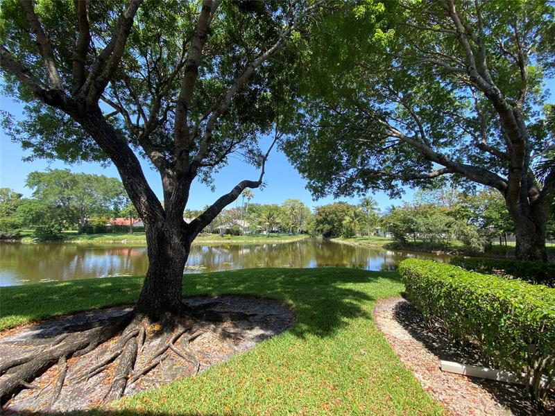 11453 NW 39th Court Coral Springs FL 33065