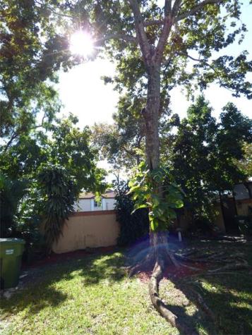 11248 SW 11th Street Pembroke Pines FL 33025