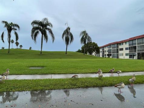 361 S Hollybrook Drive Pembroke Pines FL 33025