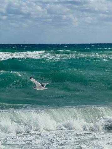 722 Ocean Dunes Circle Jupiter FL 33477