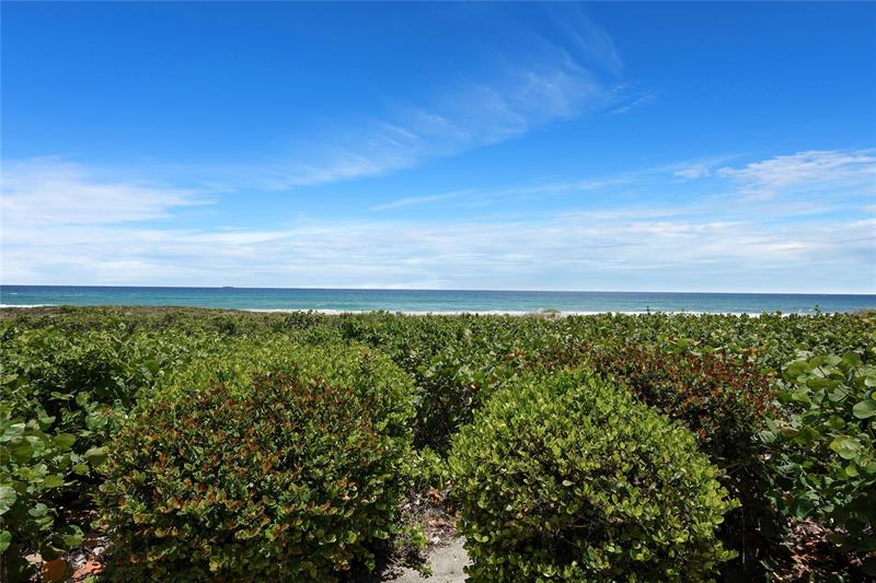 2800 S Ocean Boulevard Boca Raton FL 33432