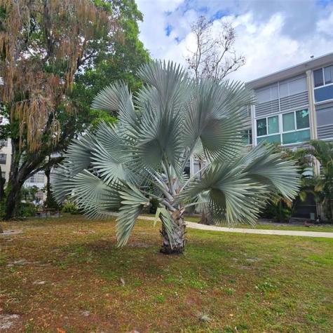 4898 NW 29th Court Lauderdale Lakes FL 33313