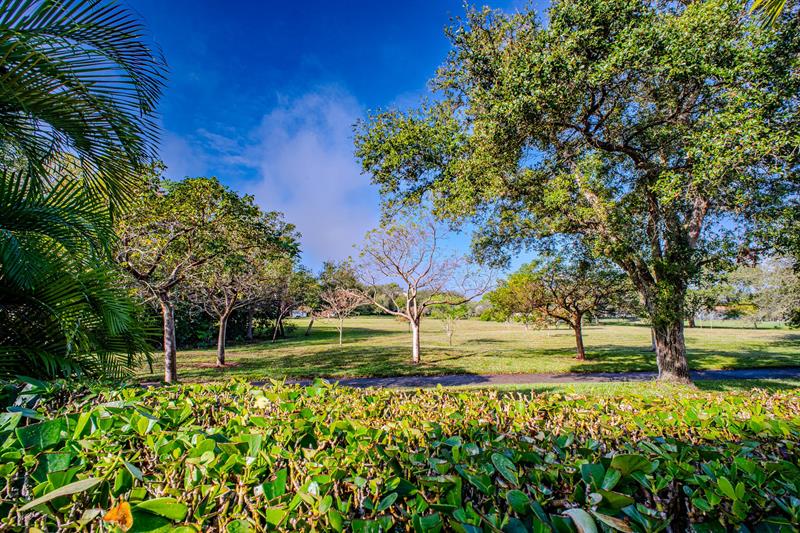 11431 Lakeview Drive Coral Springs FL 33071