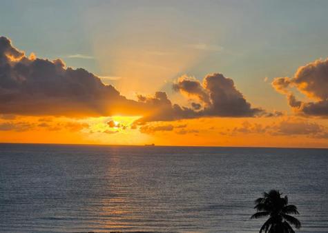 1900 S Ocean Boulevard Lauderdale By The Sea FL 33062
