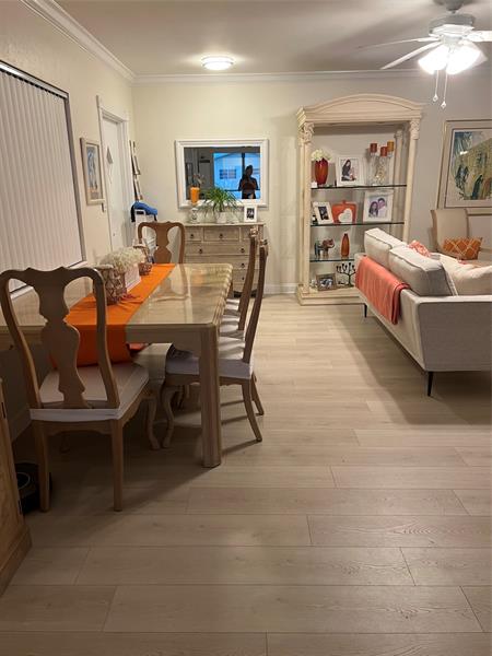 2734 NE 27th Court Lighthouse Point FL 33064