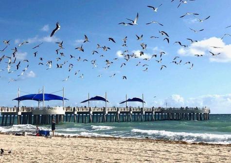 133 N Pompano Beach Boulevard Pompano Beach FL 33062