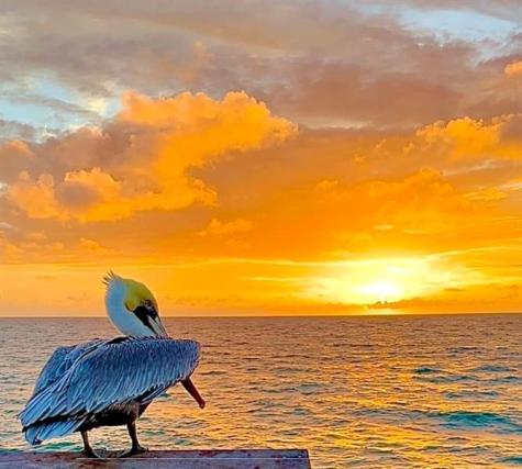 133 N Pompano Beach Boulevard Pompano Beach FL 33062