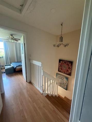 795 Crystal Lake Drive Deerfield Beach FL 33064