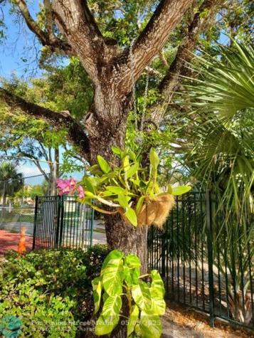 8120 SW 24th Street North Lauderdale FL 33068