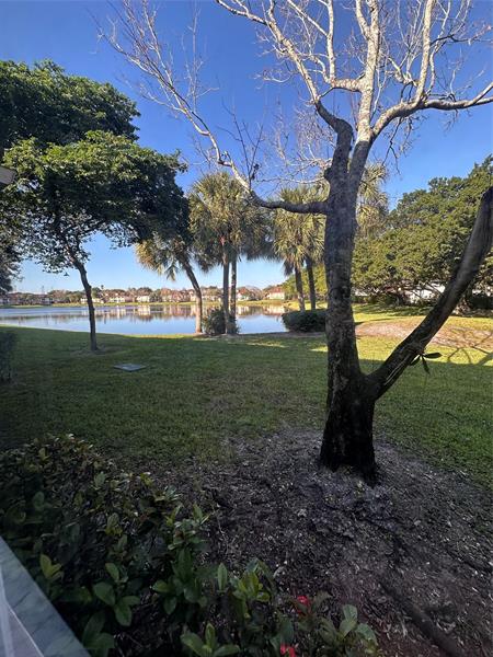 729 NW 91st Terrace Plantation FL 33324