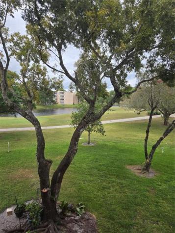 9531 Seagrape Drive Davie FL 33324