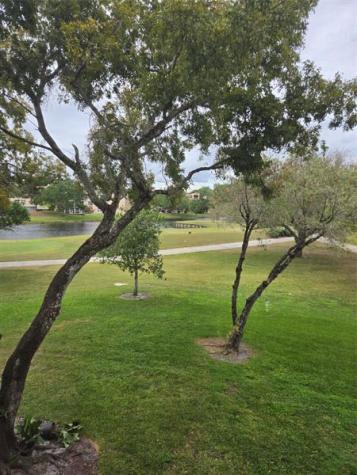 9531 Seagrape Drive Davie FL 33324