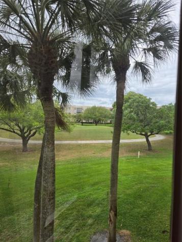 9531 Seagrape Drive Davie FL 33324